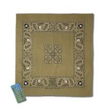 Load image into Gallery viewer, Insect Shield Bandana