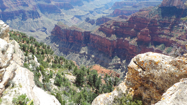 Grand Canyon North Rim