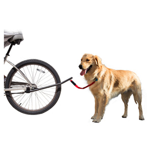 JBI Dog Leash