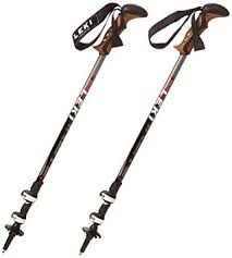 Leki Corklite Pole